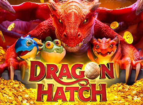 Dragon Hatch, jogo de simulação, dragões, evolução, estratégias, comunidade de jogadores, futuro, magia, jornada do jogador, prêmios.